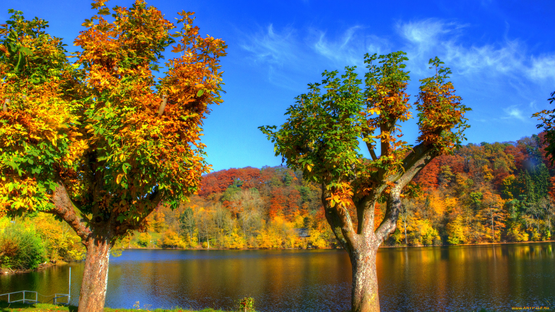 германия, ульмен, природа, реки, озера, деревья, река, дорожка