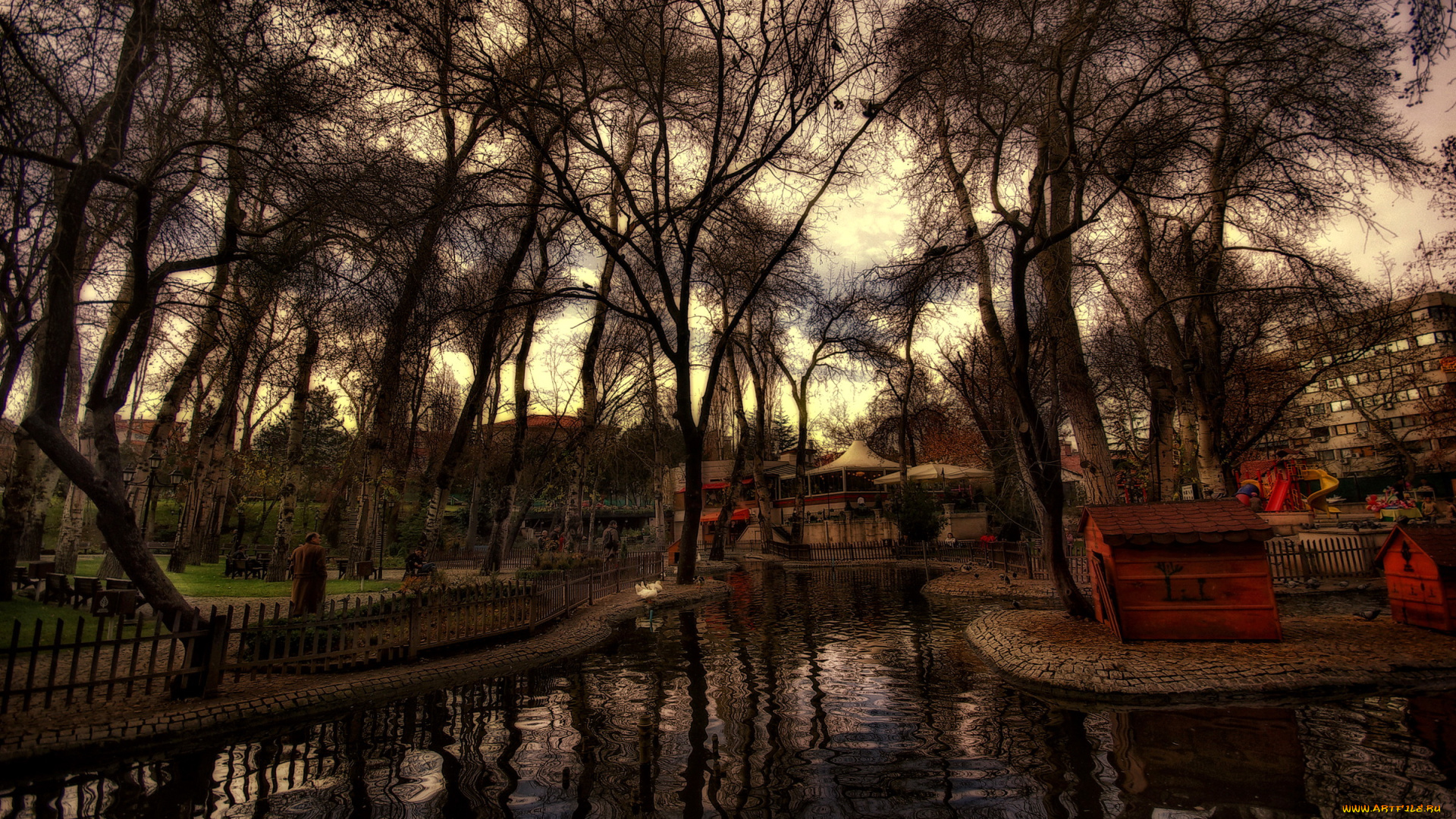 kugulu, park, ankara, природа, парк