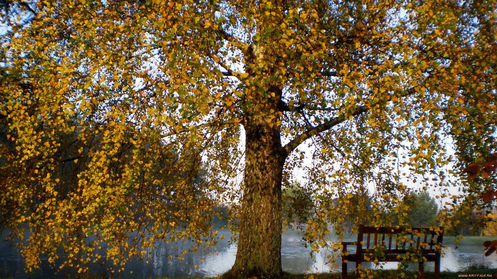 литва, вильнюс, природа, деревья, река, парк