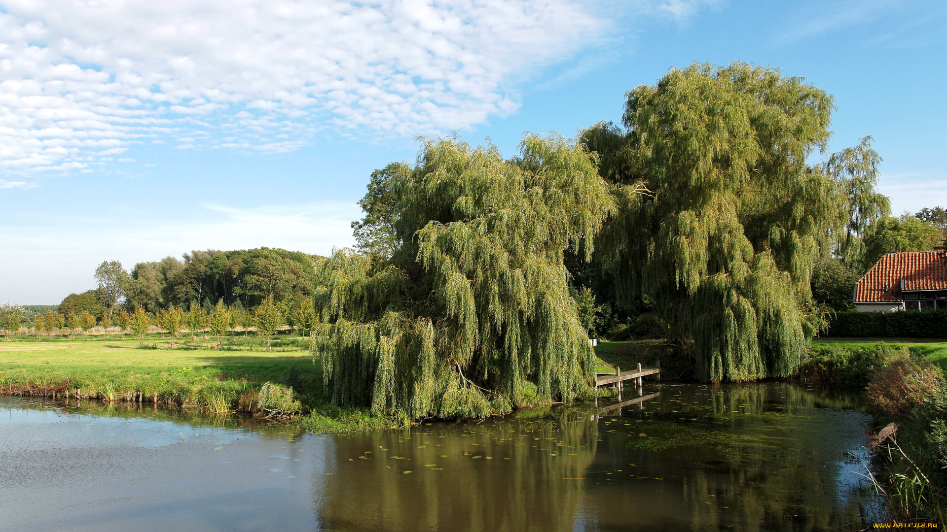 нидерланды, гронинген, oudeschans, природа, реки, озера, река