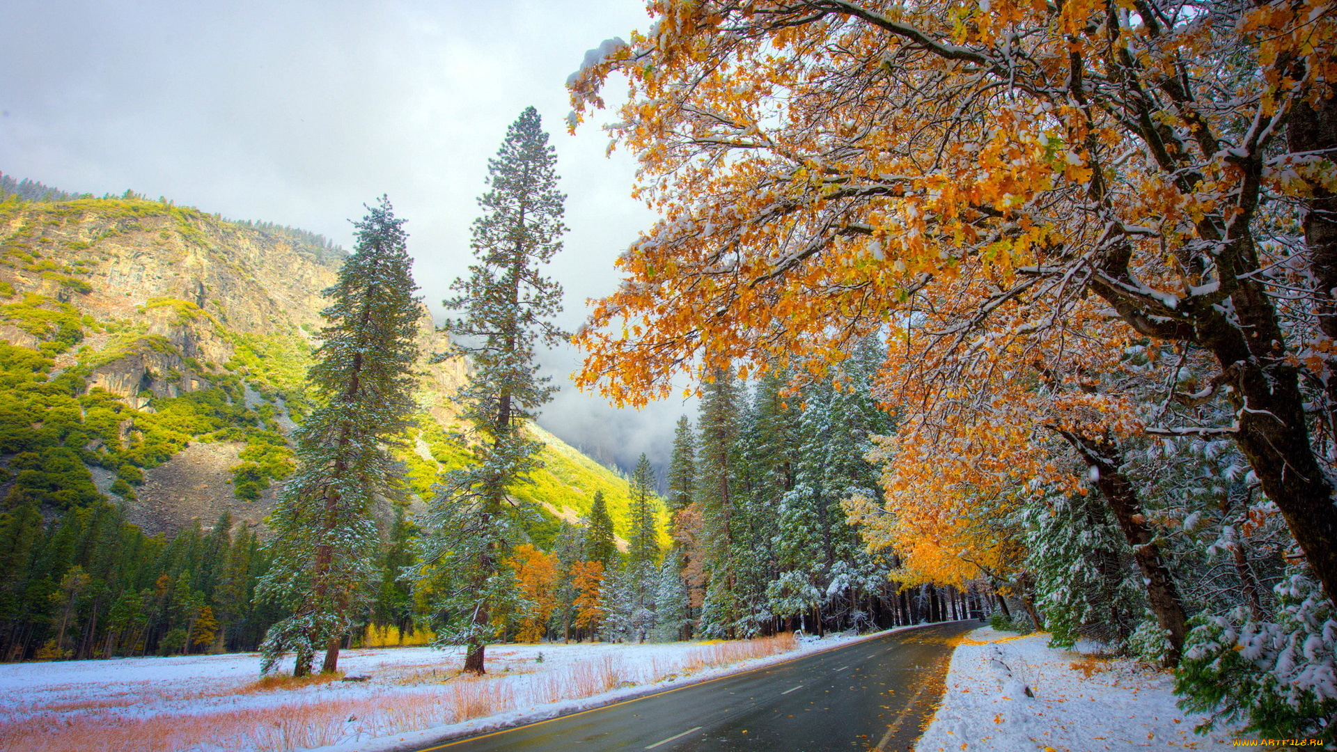 природа, дороги, снег, осень, дорога