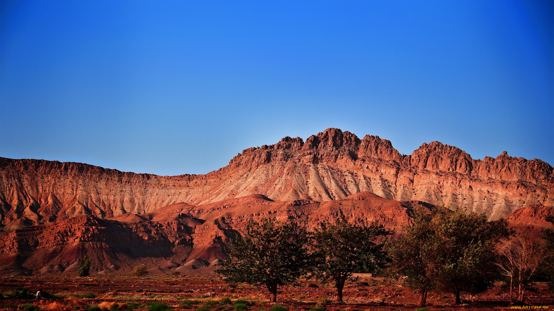 природа, горы, небо, деревья