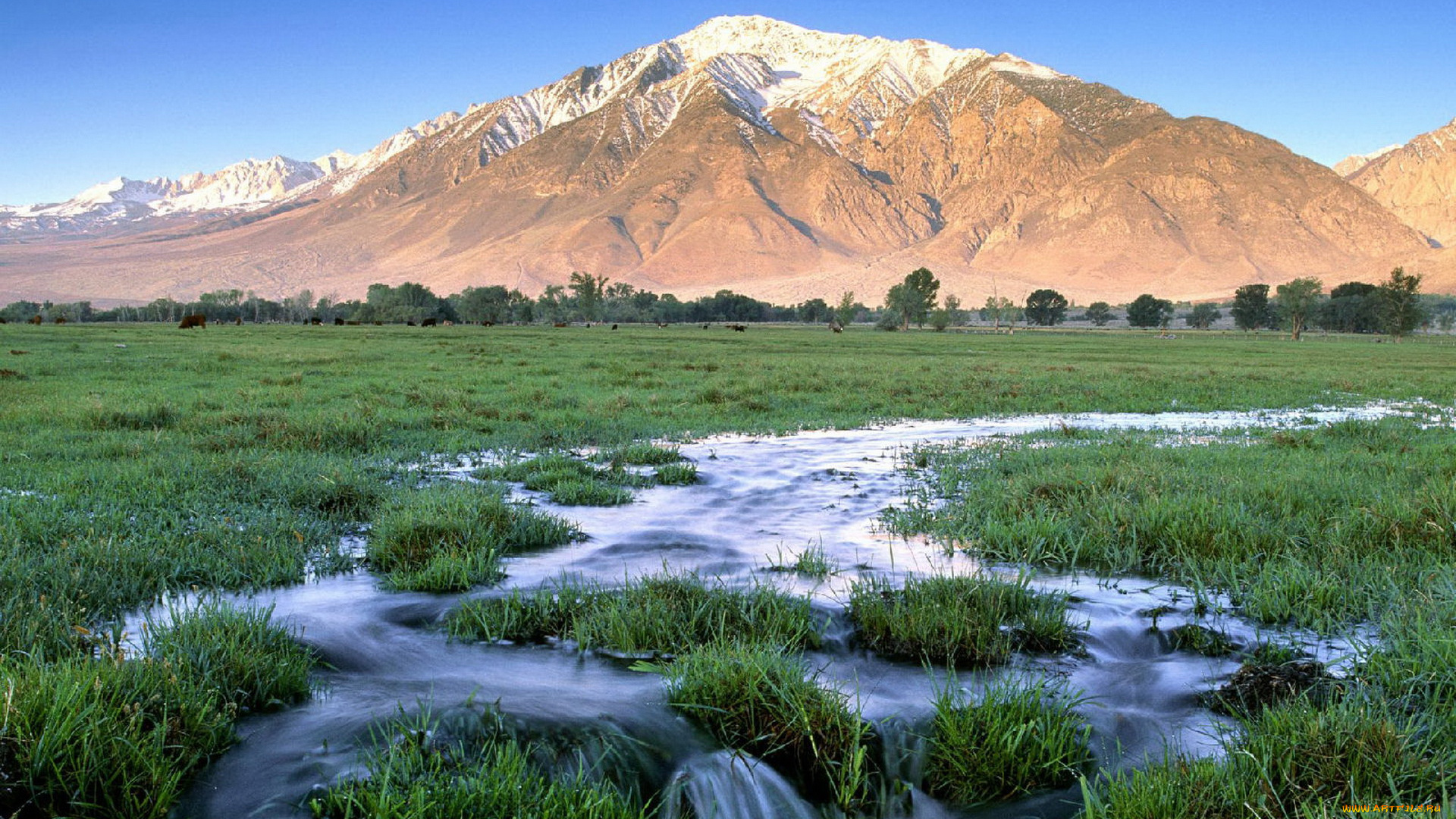 природа, горы, ручей