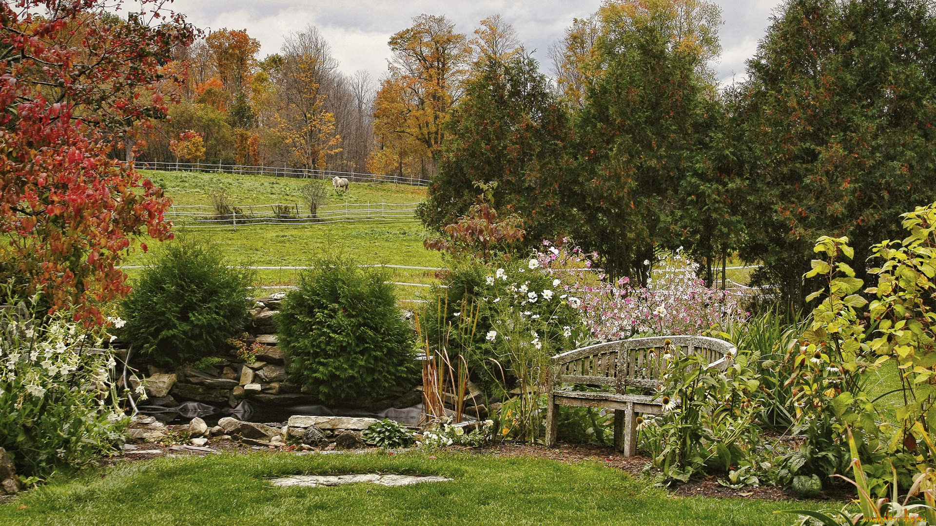 природа, парк, деревья