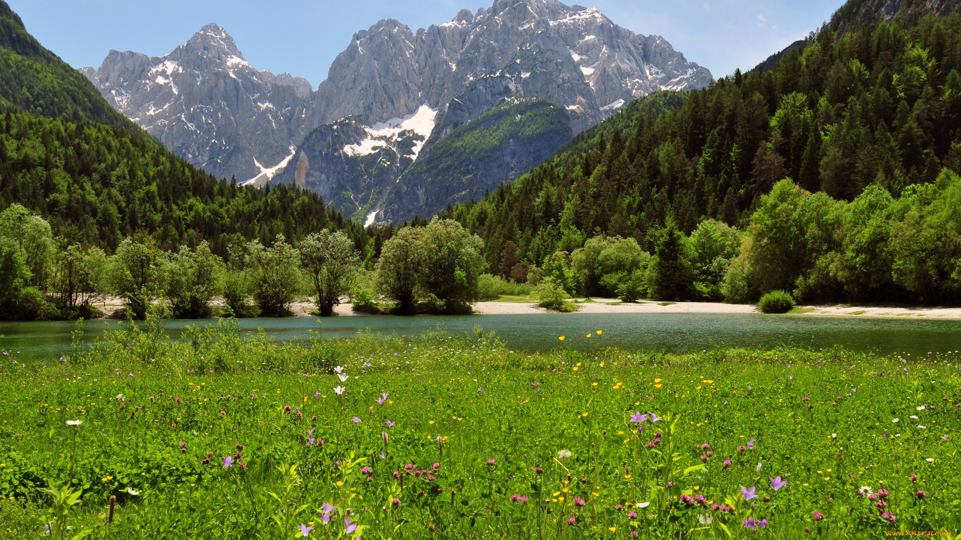 природа, пейзажи, горы, река, луг, трава, цветы
