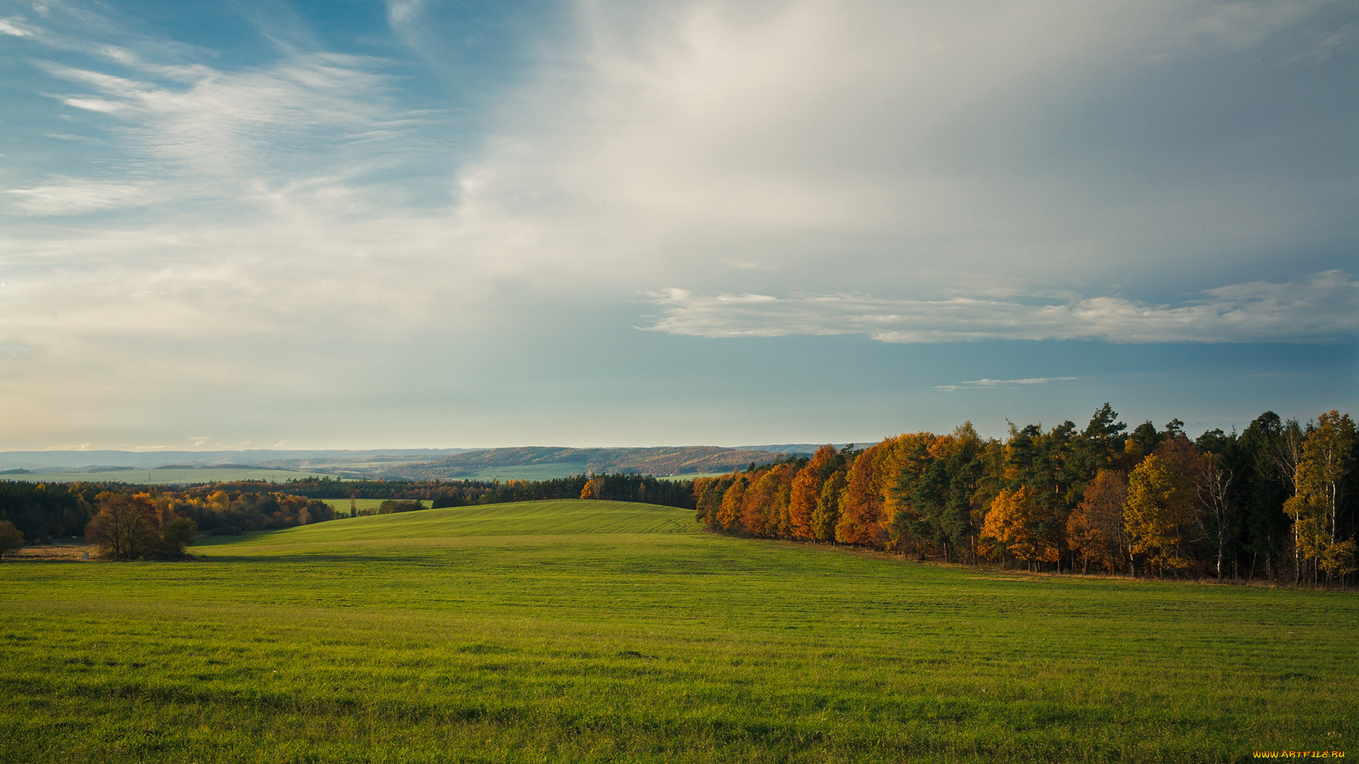 природа, поля, лес, поле, облака