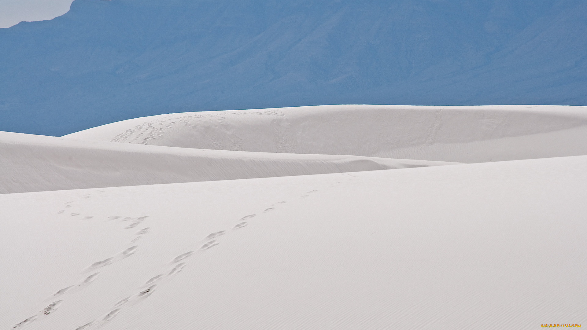 природа, пустыни, пустыня, песок, следы