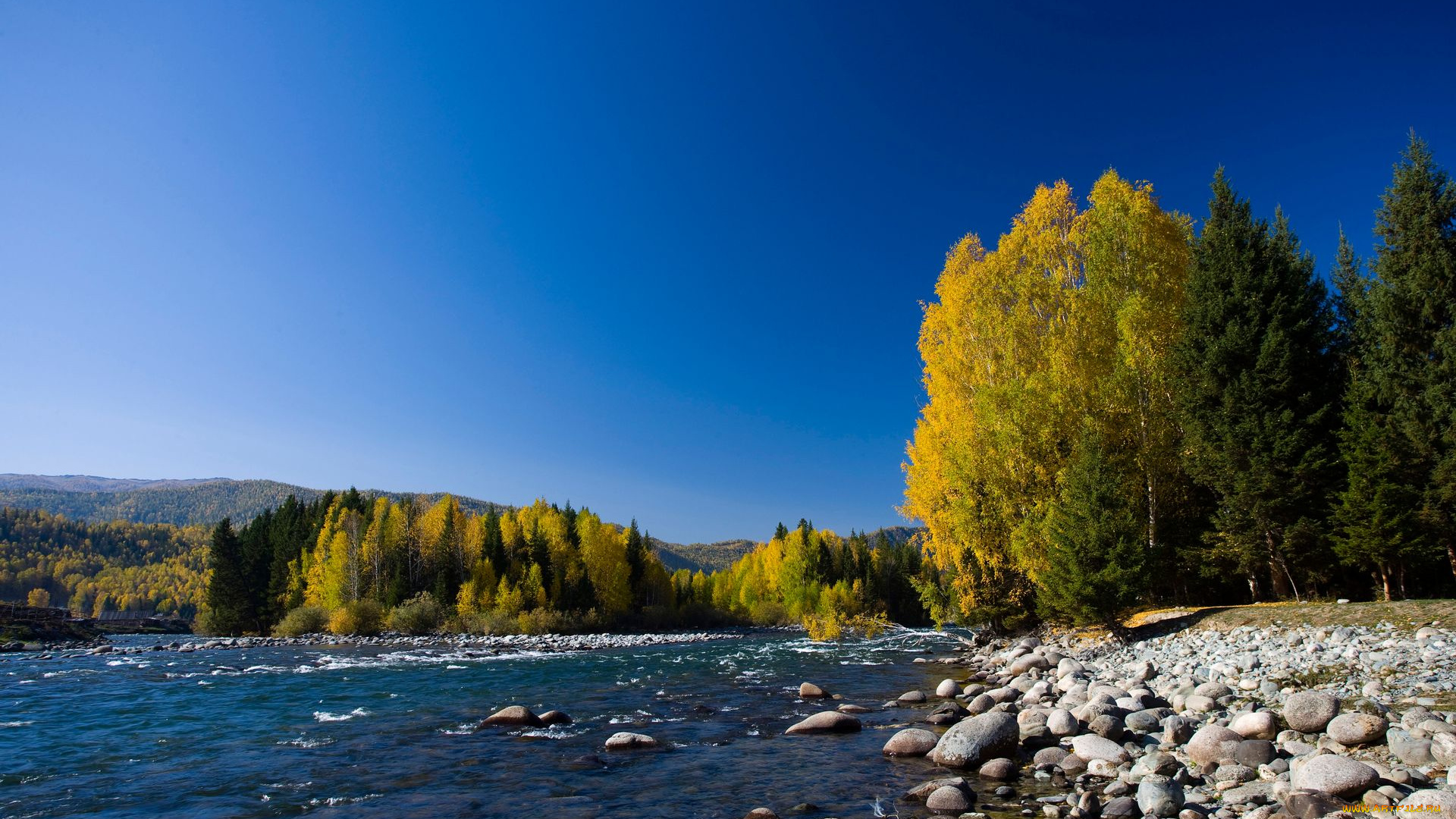 природа, реки, озера, камни, лес, река