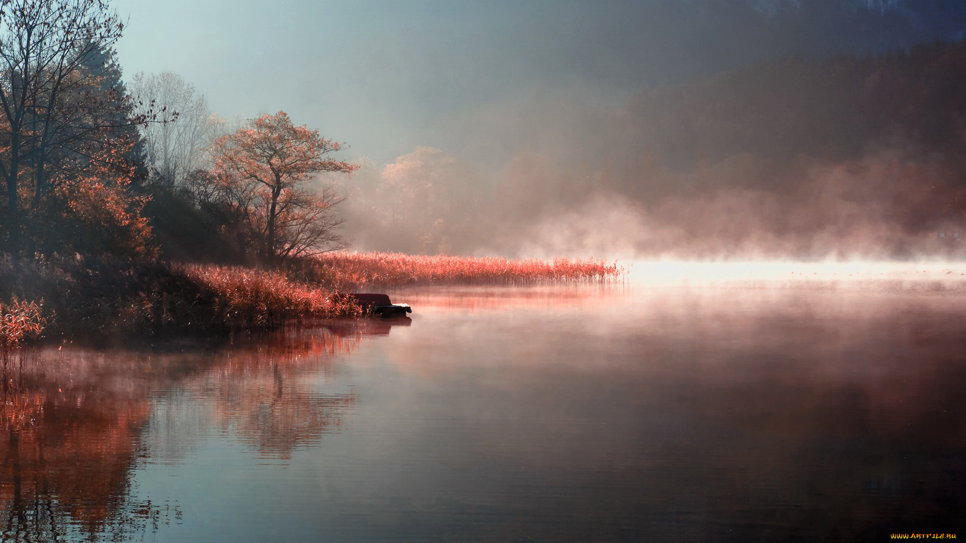 природа, реки, озера, камыш, озеро, вечер, деревья