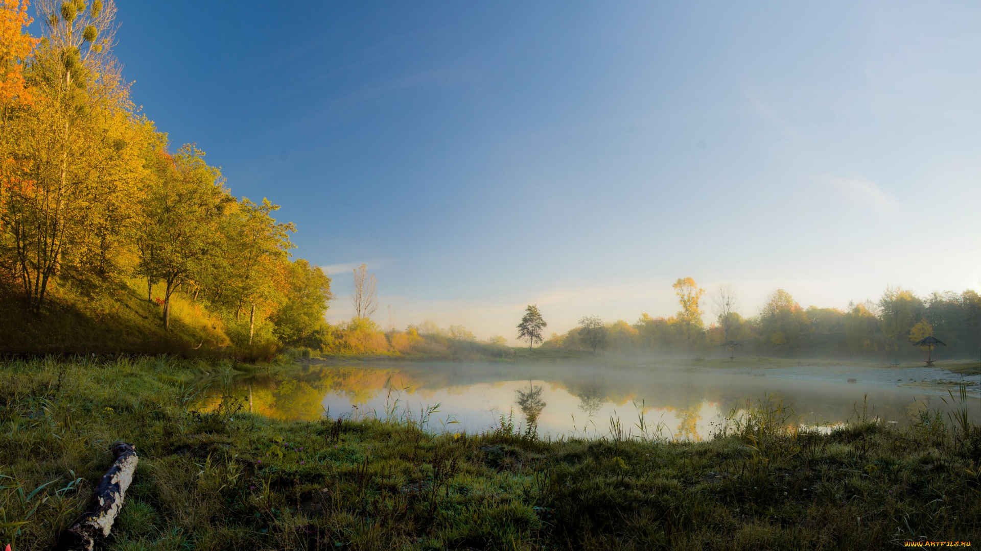 природа, реки, озера, осень, лес, озеро, туман