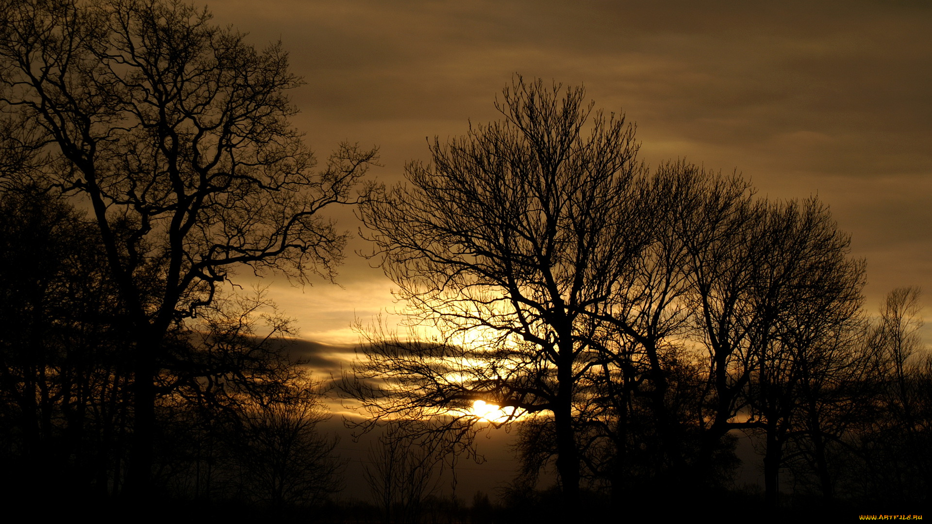 природа, восходы, закаты, закат