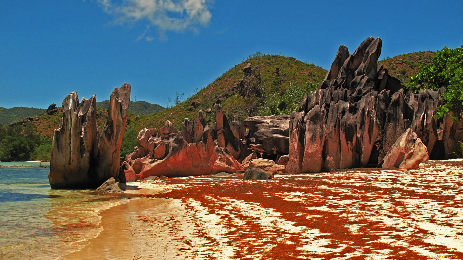 сейшелы, baie, sainte, anne, природа, побережье, берег, море