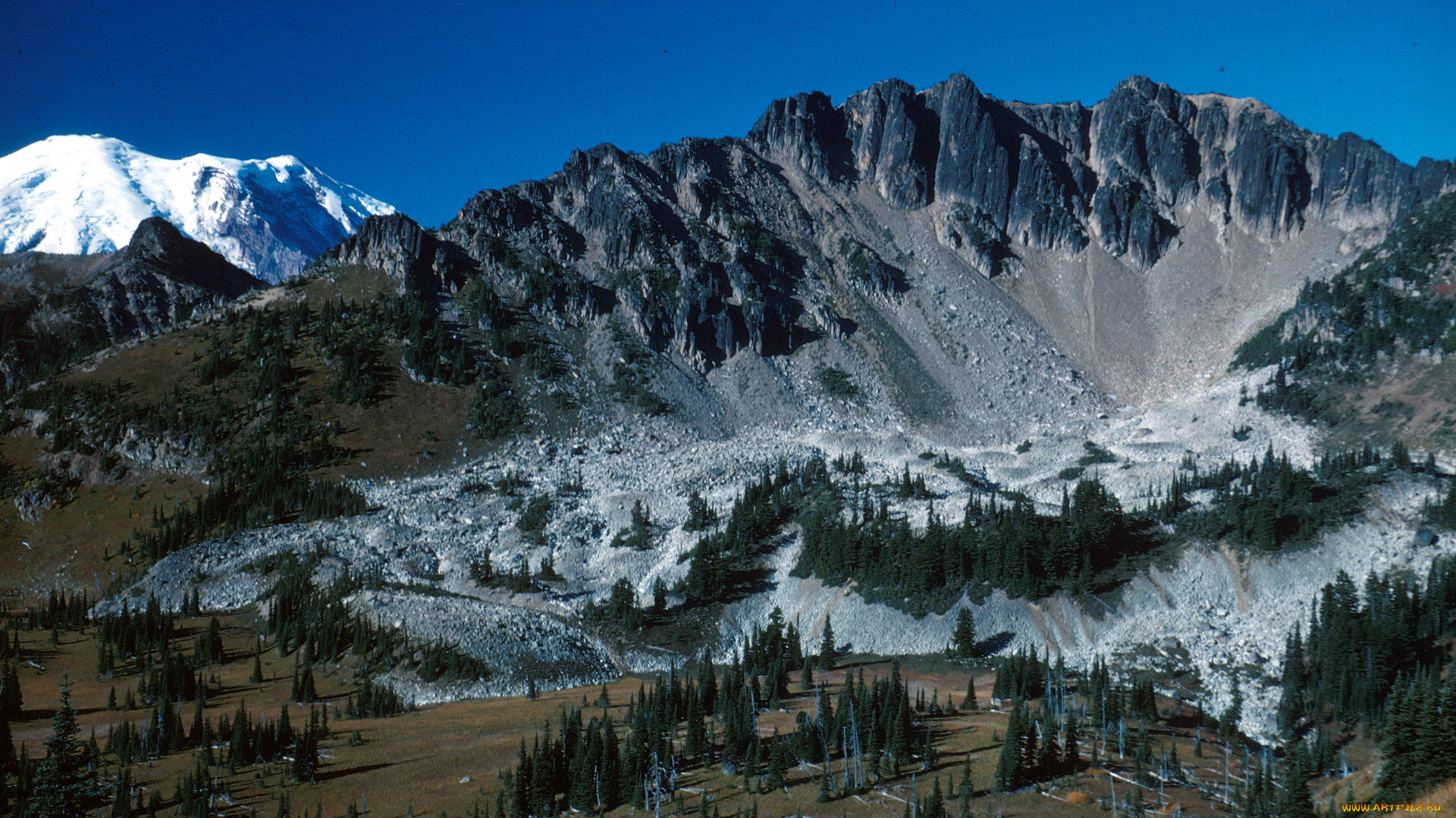 сша, mount, rainier, national, park, washington, природа, горы, ели
