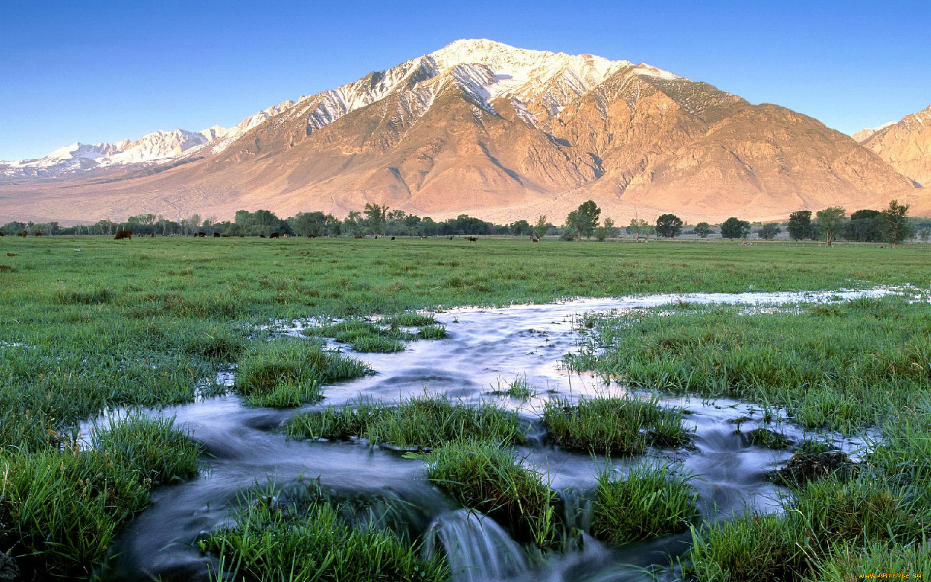 природа, горы, ручей