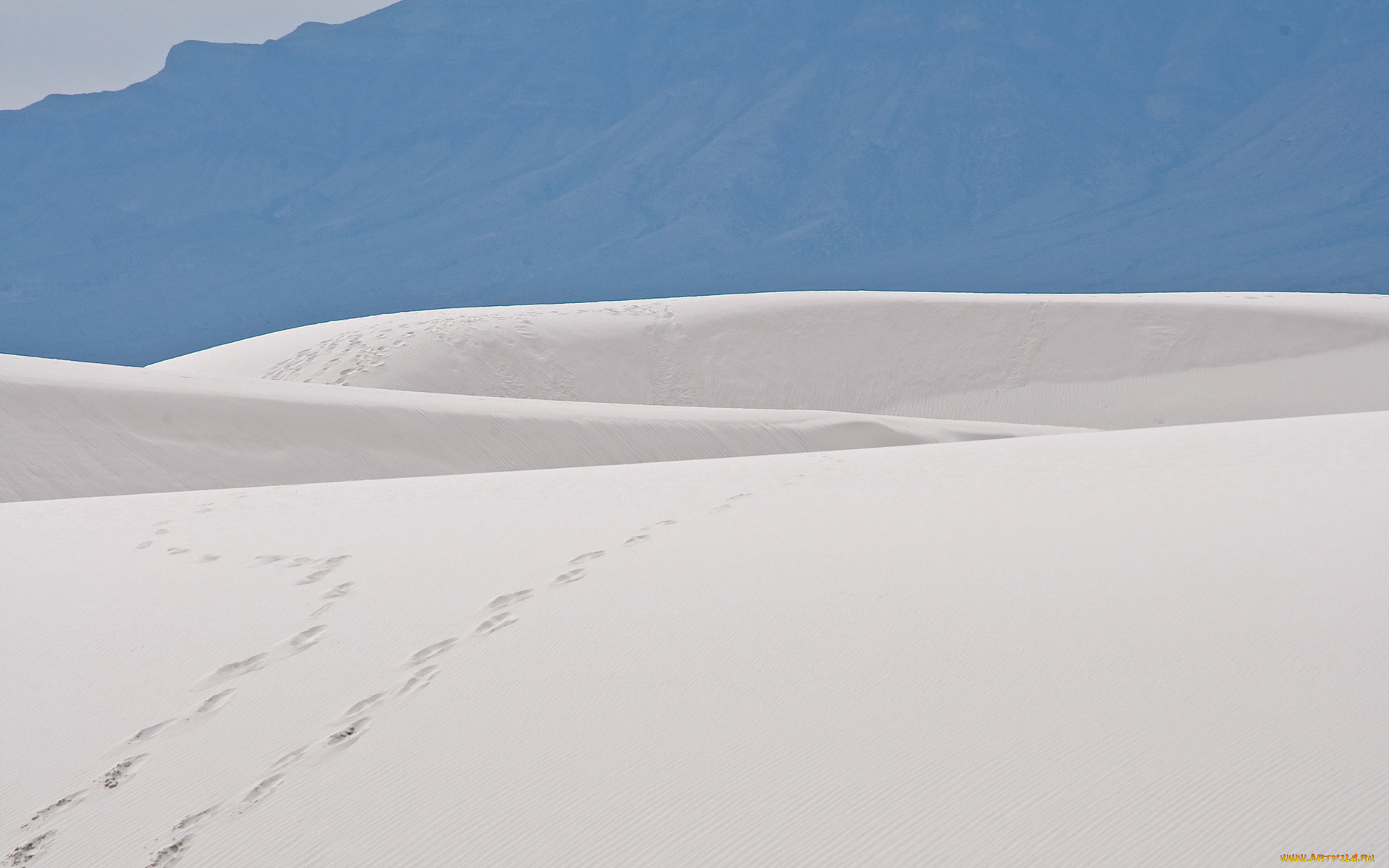 природа, пустыни, пустыня, песок, следы