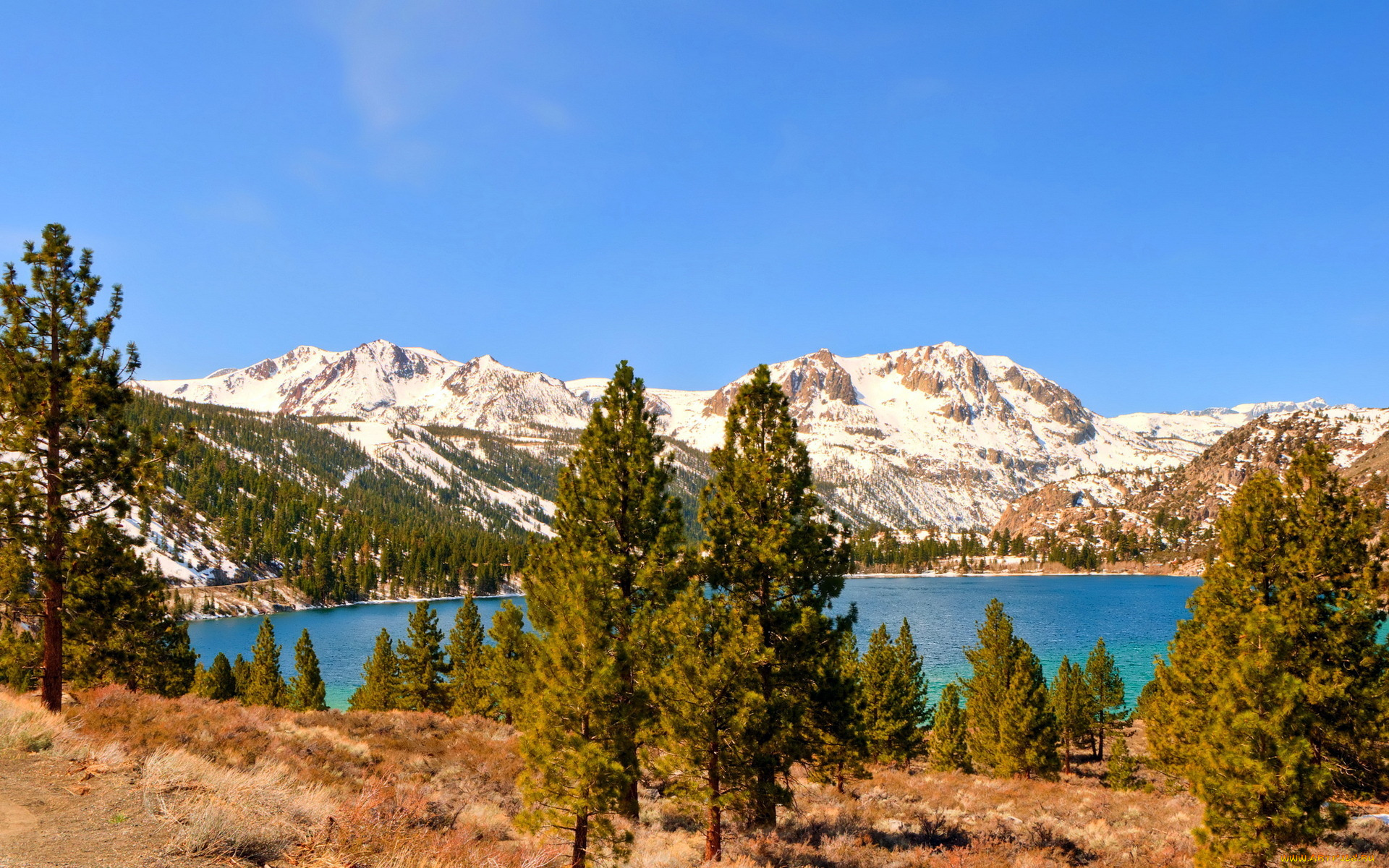 природа, реки, озера, деревья, горы, озеро