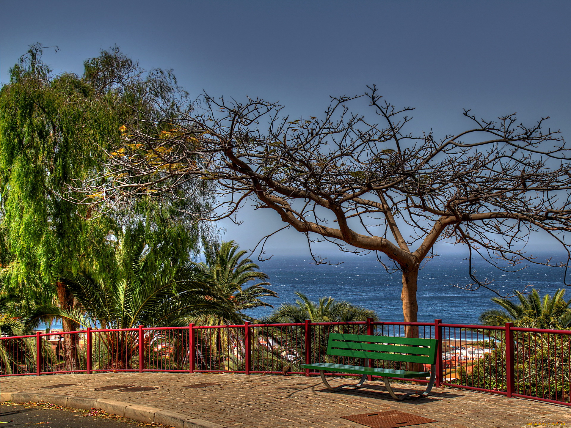 испания, канарские, острова, пуэрто, де, ла, крус, природа, пейзажи