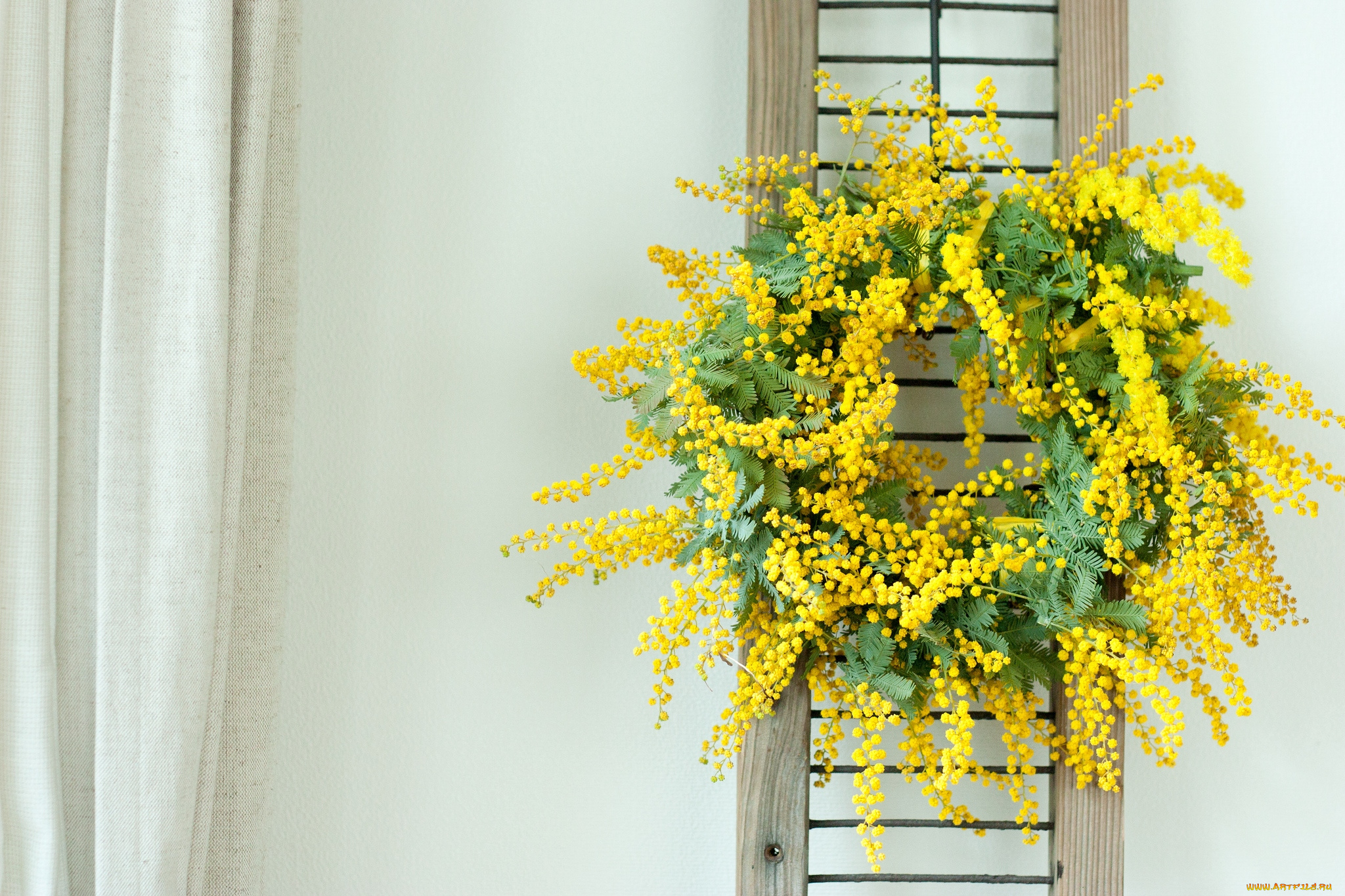 цветы, мимоза, венок, желтый