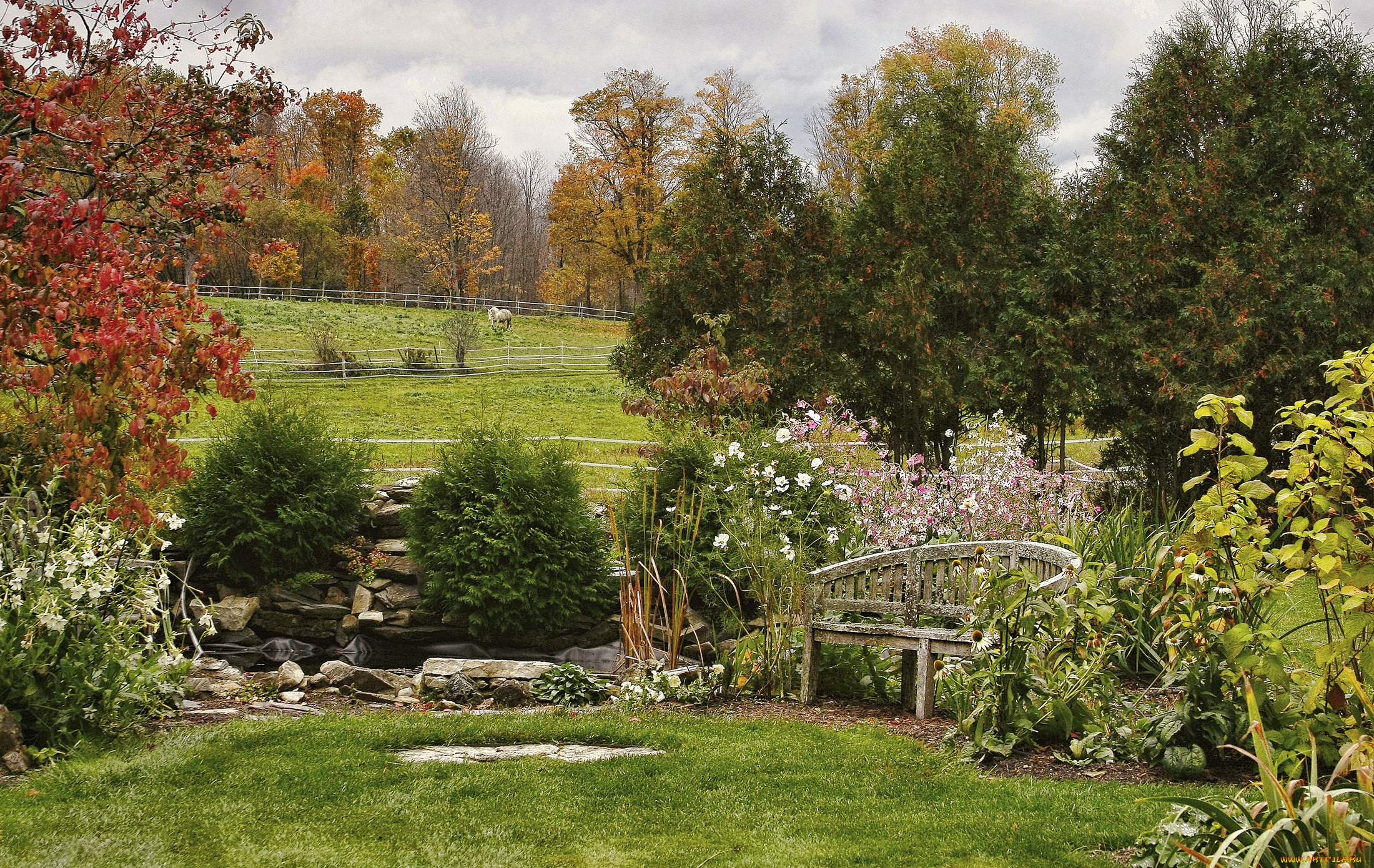 природа, парк, деревья