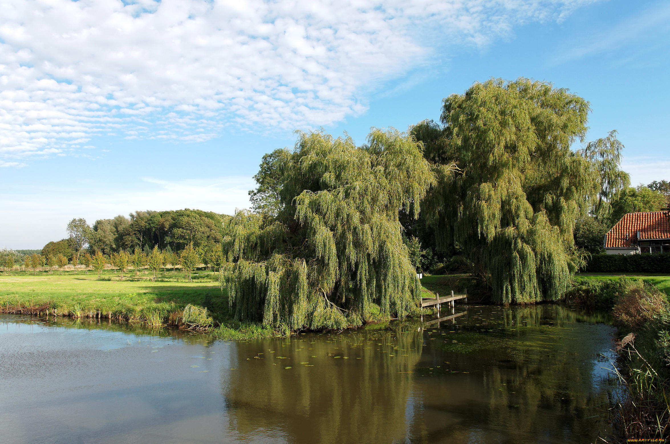 нидерланды, гронинген, oudeschans, природа, реки, озера, река