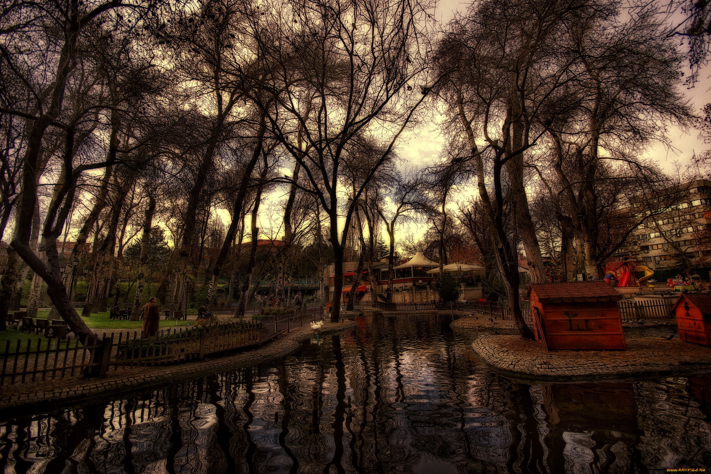 kugulu, park, ankara, природа, парк
