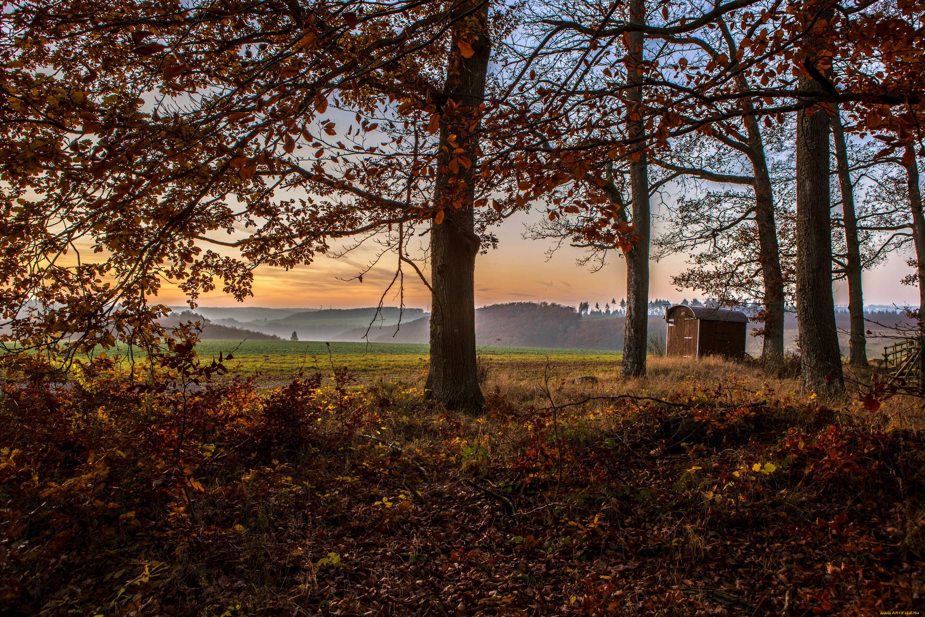 германия, клоттен, природа, деревья, дымка, поля