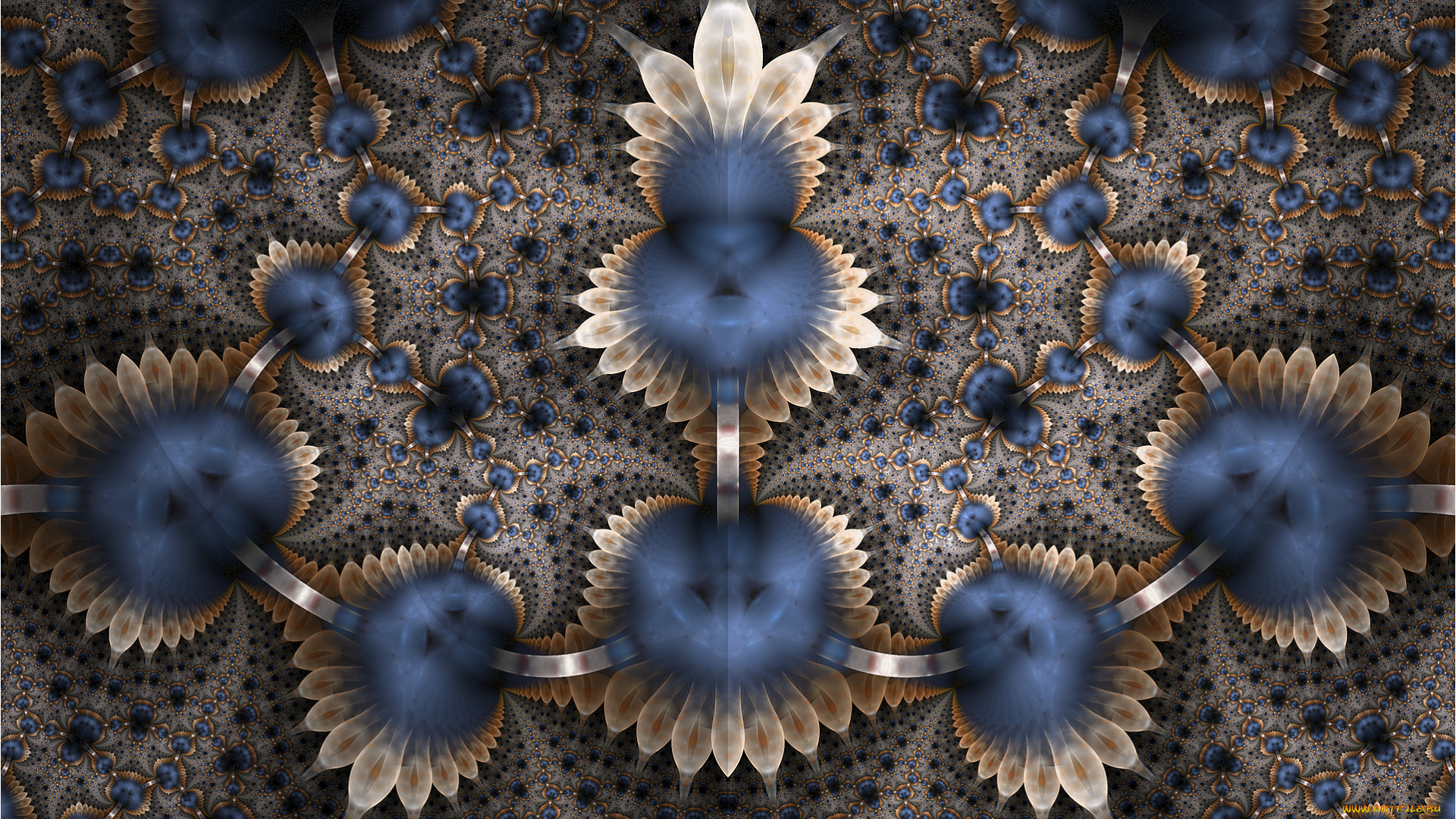 3д, графика, fractal, фракталы, фон, цвета, узор