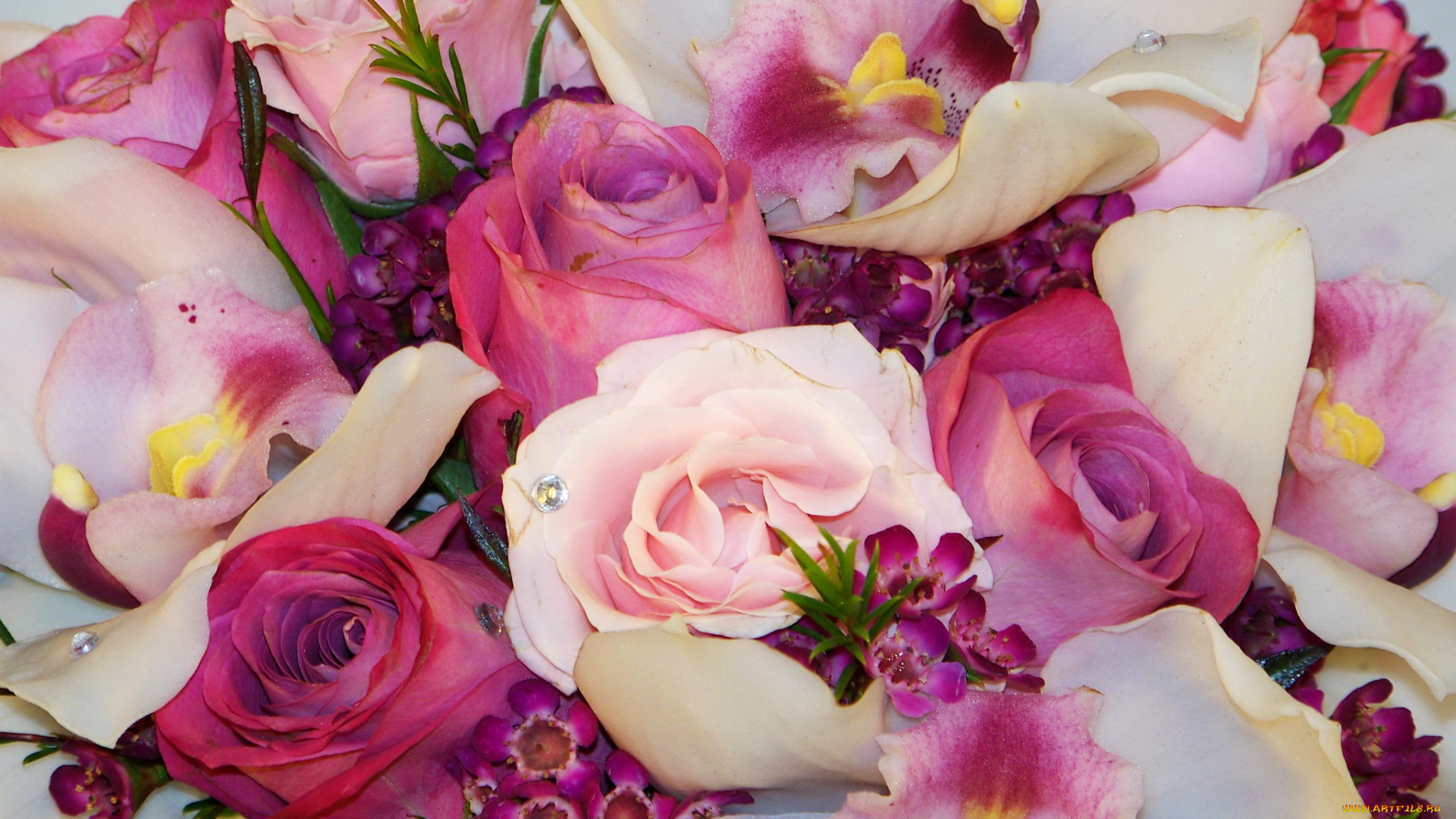 цветы, букеты, композиции, фрезии, букет, розы, орхидеи