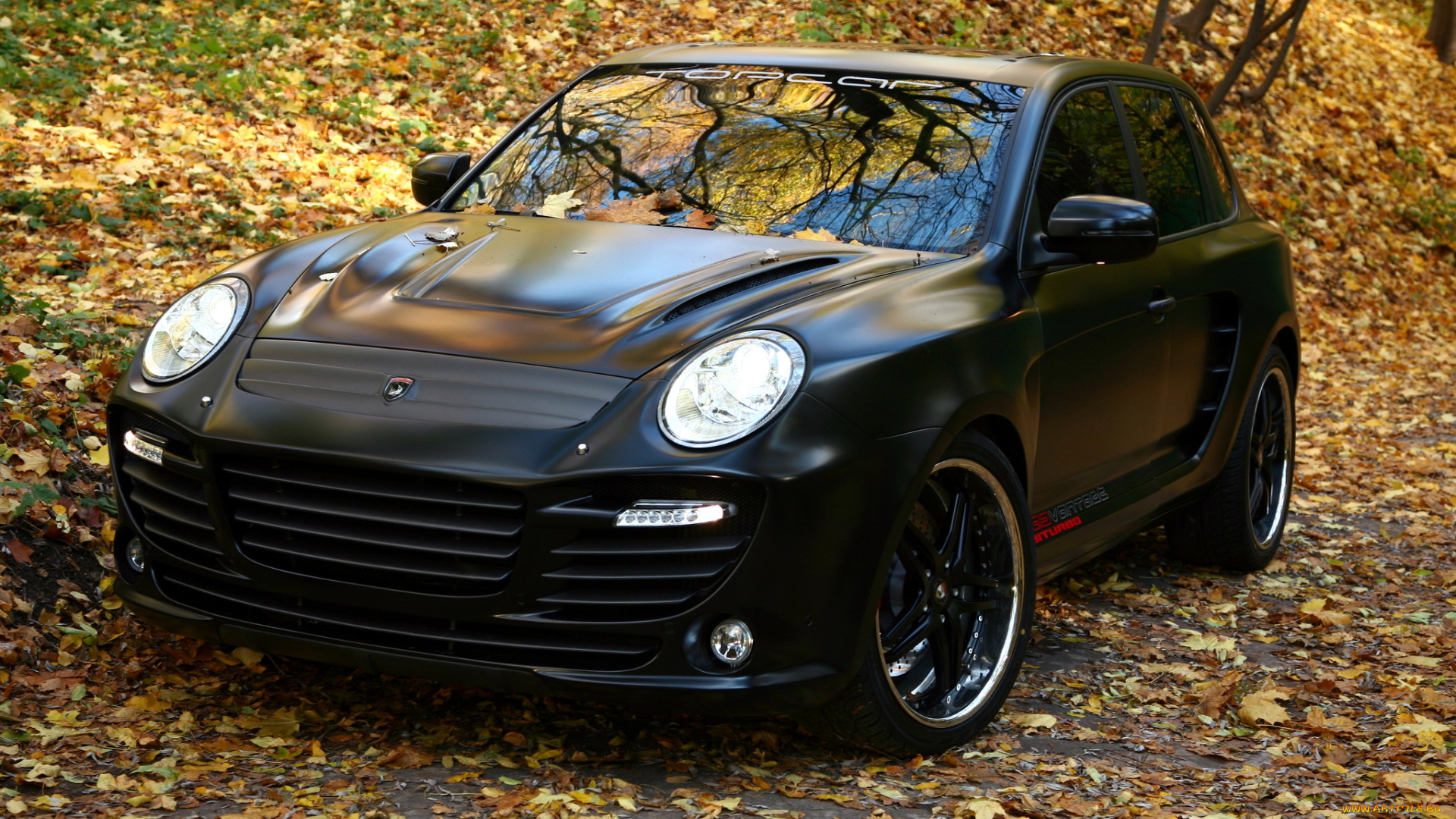 porsche, cayenne, автомобили, dr, ing, h, c, f, ag, германия, спортивные, элитные