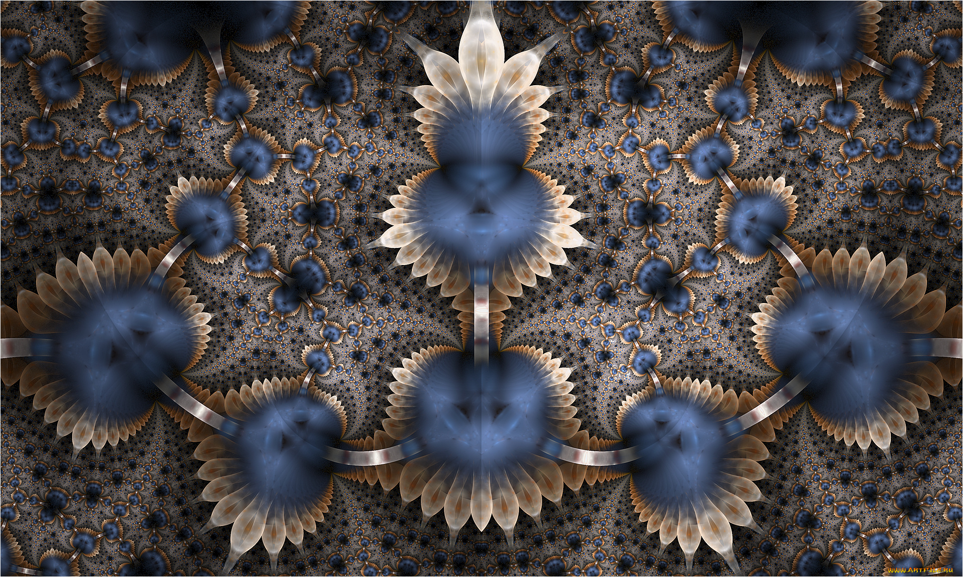 3д, графика, fractal, фракталы, фон, цвета, узор