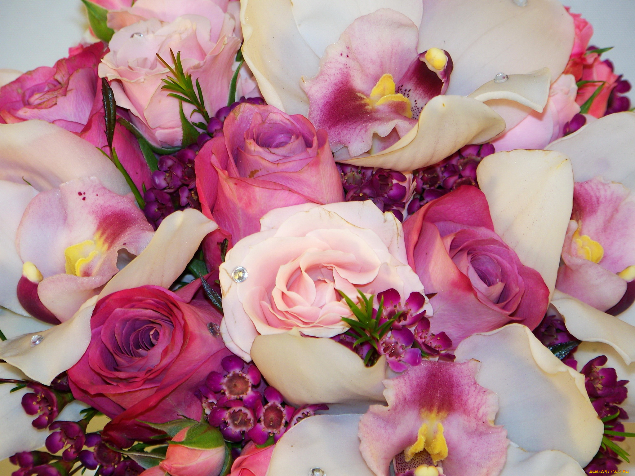 цветы, букеты, композиции, фрезии, букет, розы, орхидеи