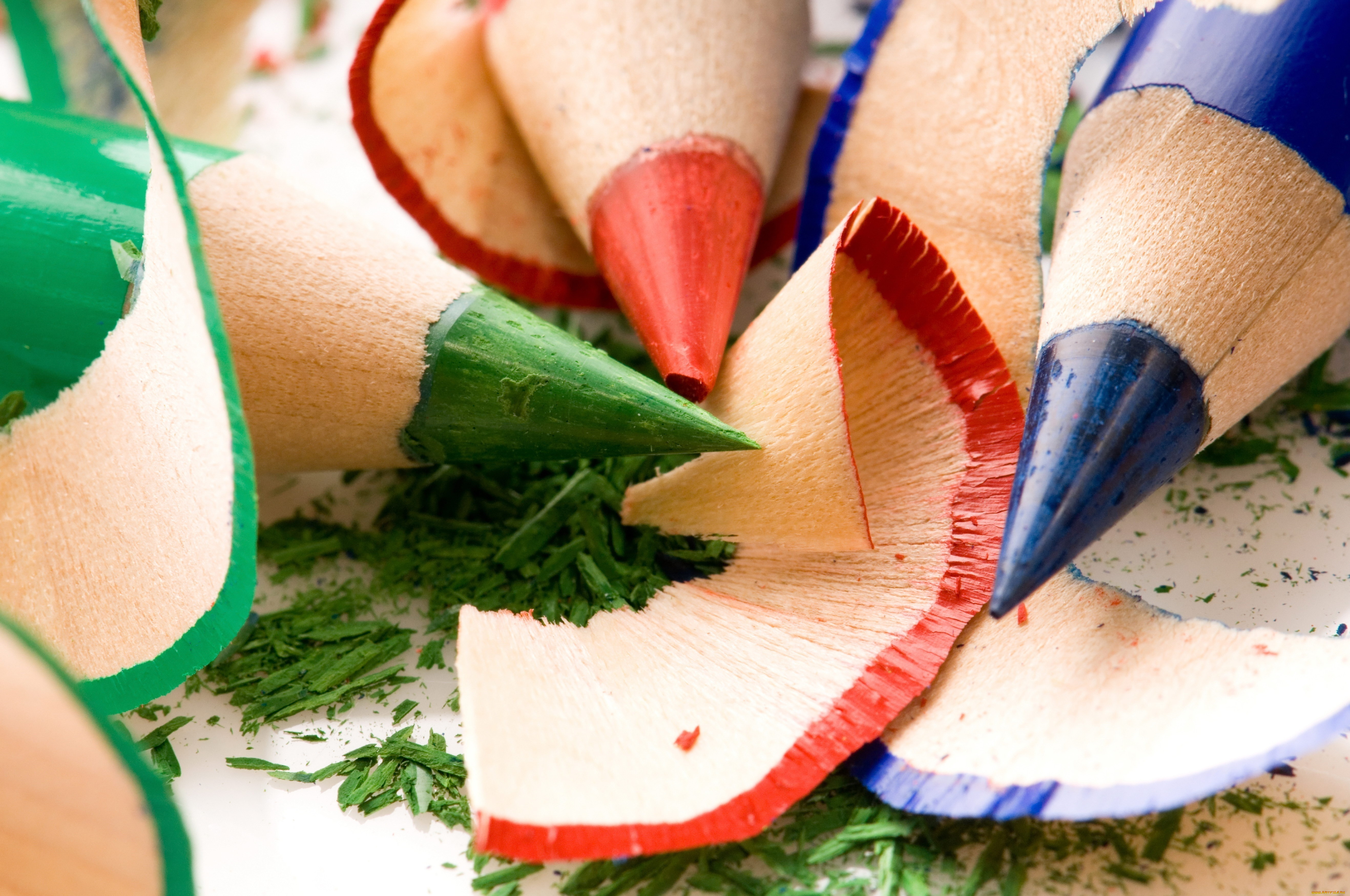 разное, канцелярия, книги, карандаши, синий, зеленый, красный, цветные