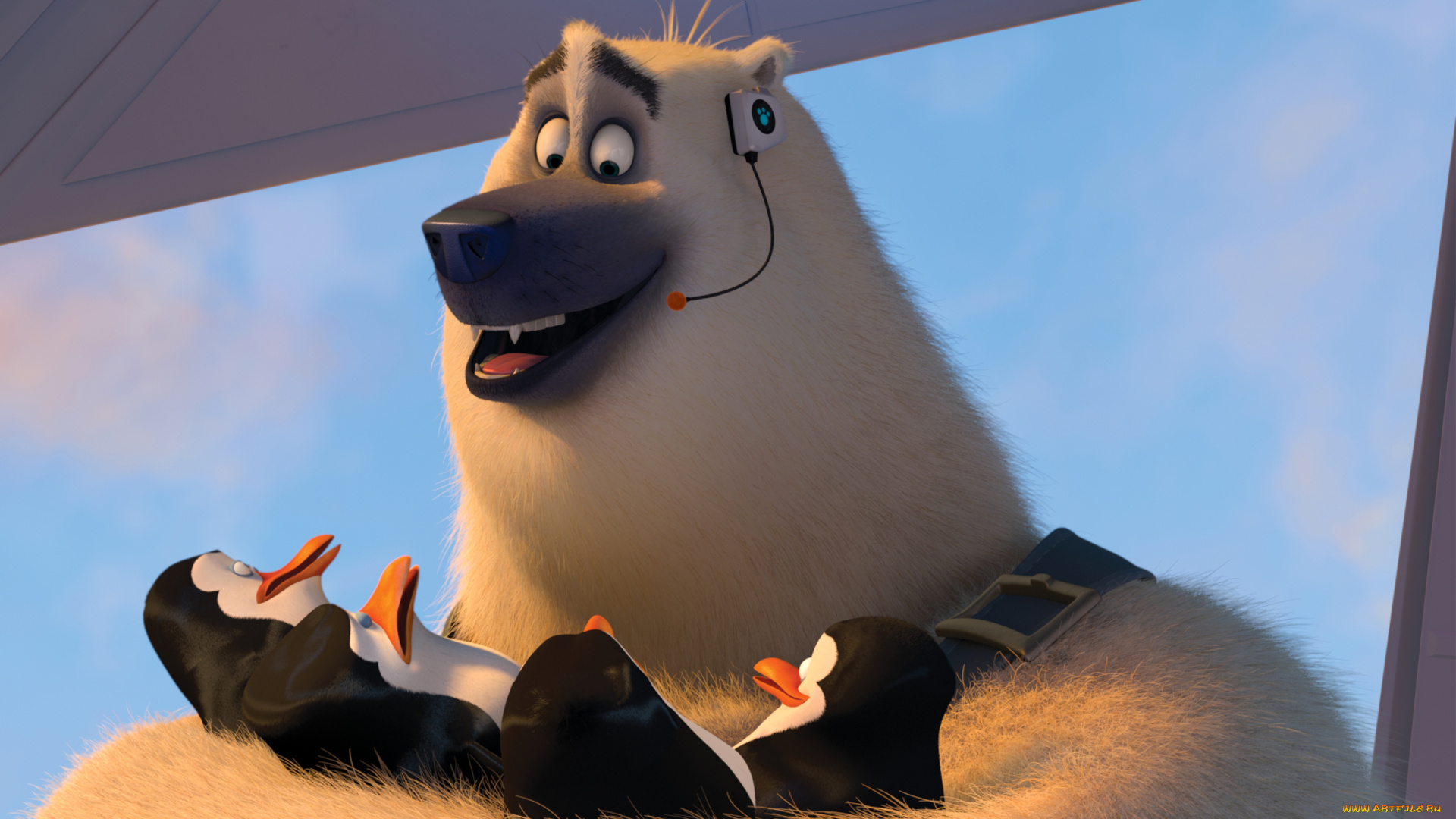 мультфильмы, the, penguins, of, madagascar, медведь, пингвины, клюв, глаза