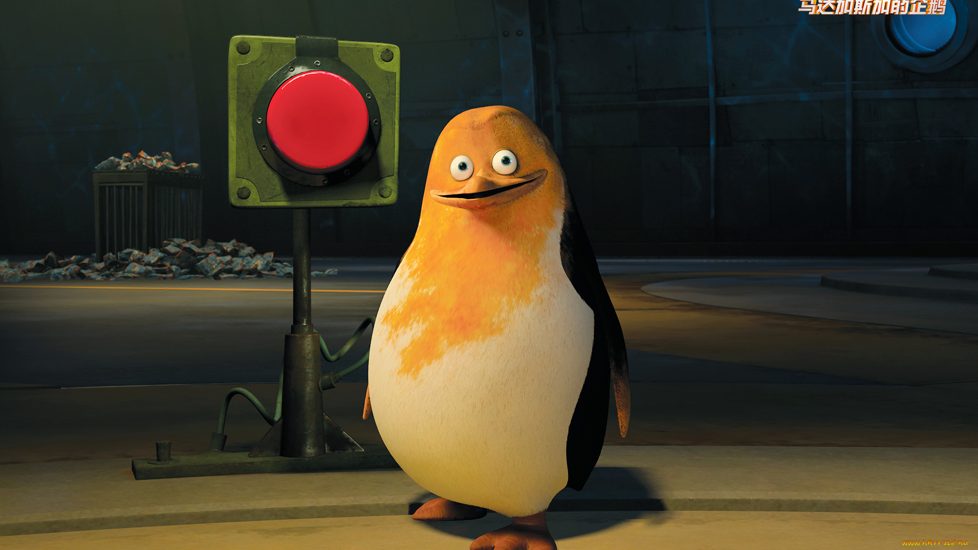 мультфильмы, the, penguins, of, madagascar, пингвин, клюв, глаза