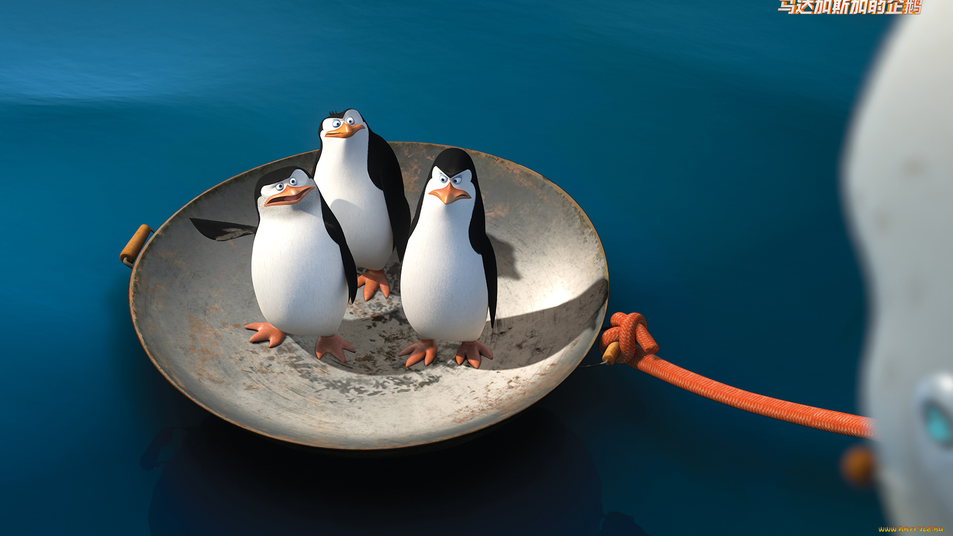 мультфильмы, the, penguins, of, madagascar, пингвины, клюв, глаза