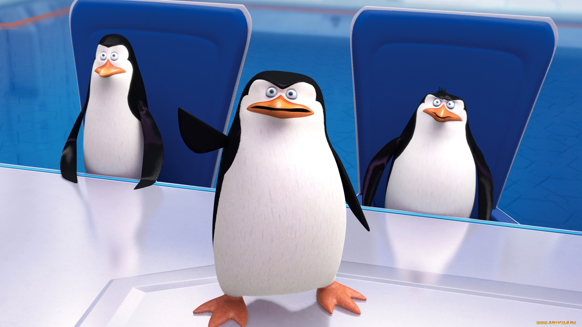 мультфильмы, the, penguins, of, madagascar, пингвины, клюв, глаза