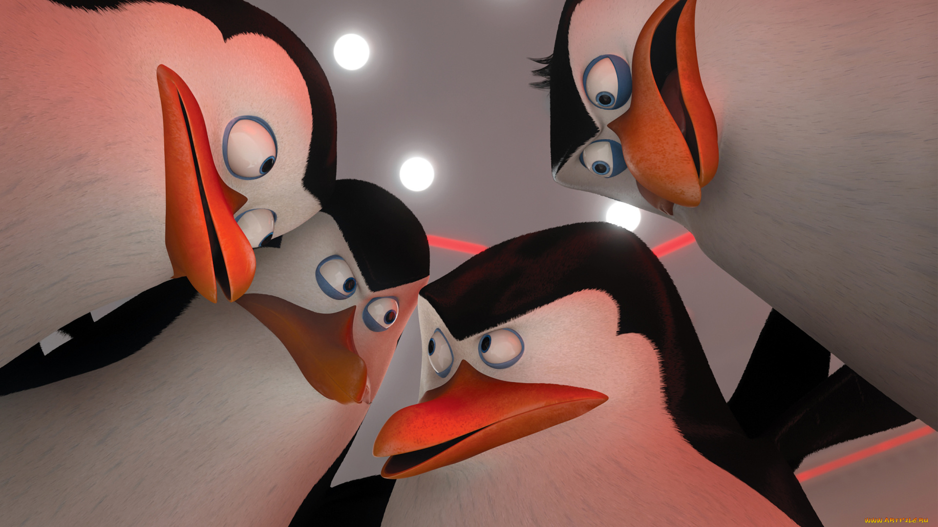 мультфильмы, the, penguins, of, madagascar, пингвины, клюв, глаза