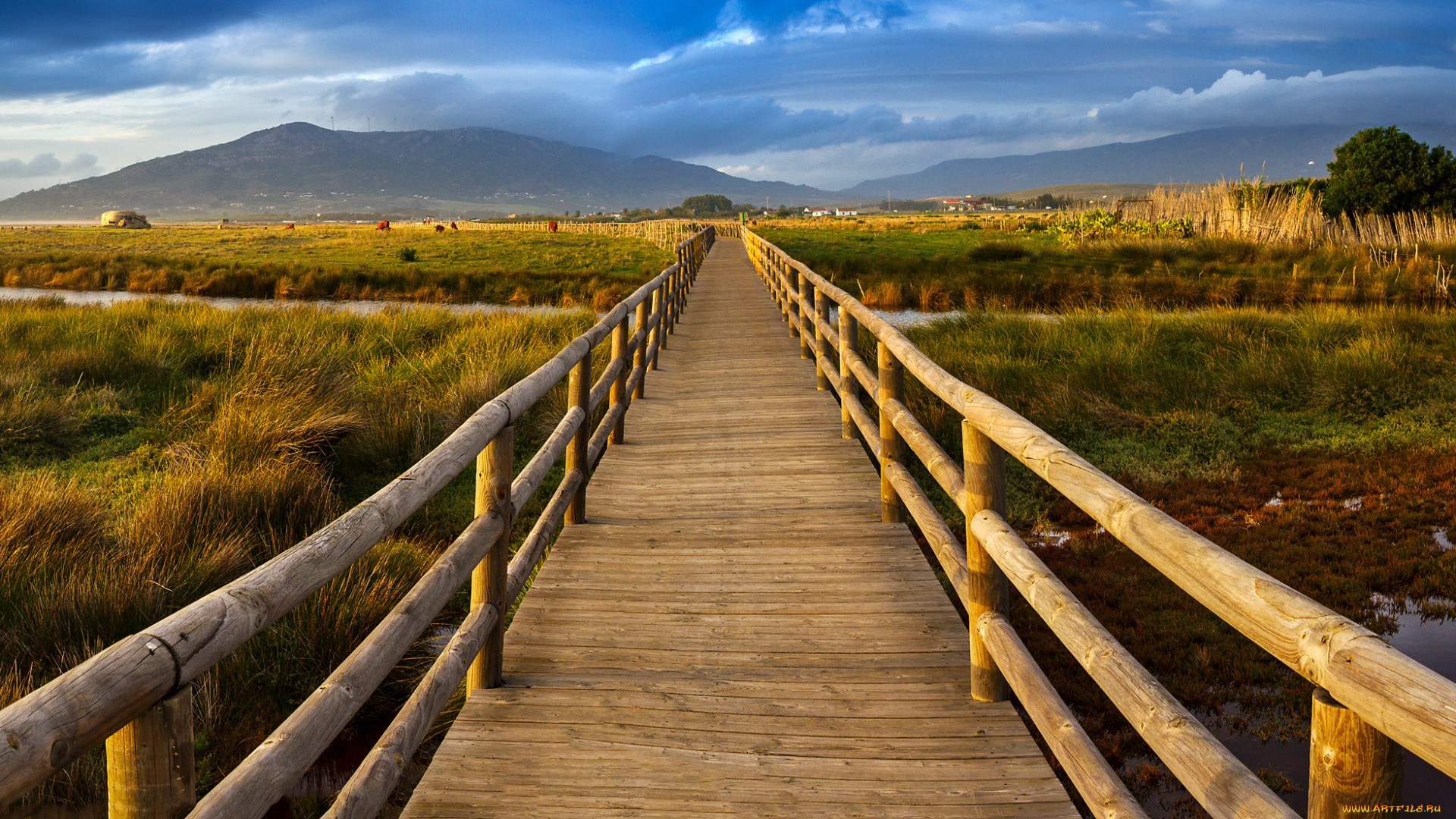 природа, дороги, мостик, речка, долина, горы