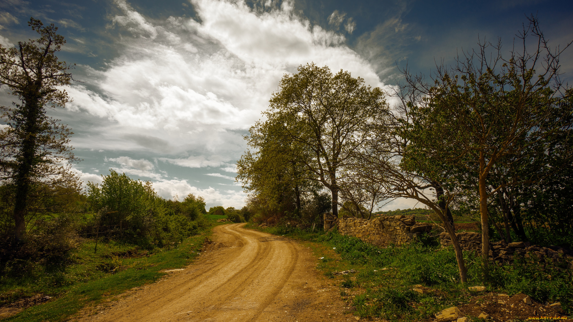 природа, дороги, облака, небо, трава, деревья, дорога