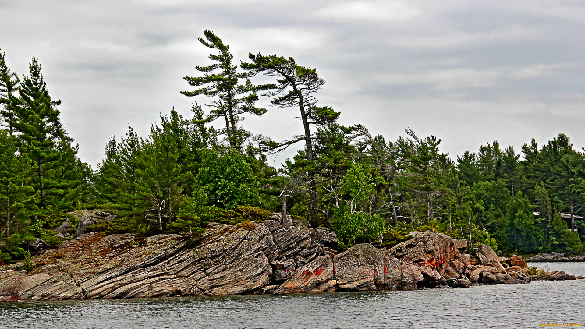 природа, побережье, берег, лес, скалы