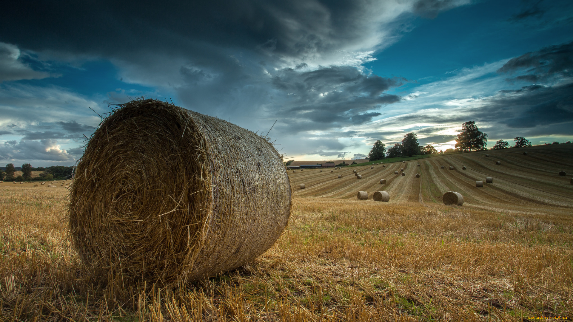 природа, поля, поле, снопы, жнивье