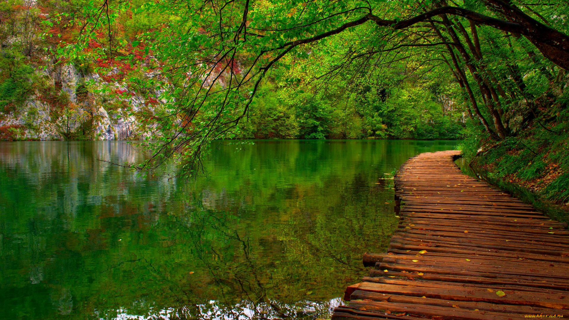 природа, реки, озера, fall, spring, colorful, leaves, река, горы, trees, park, лес, парк, деревья, листья, walk, colors, вода, forest, water, river, nature