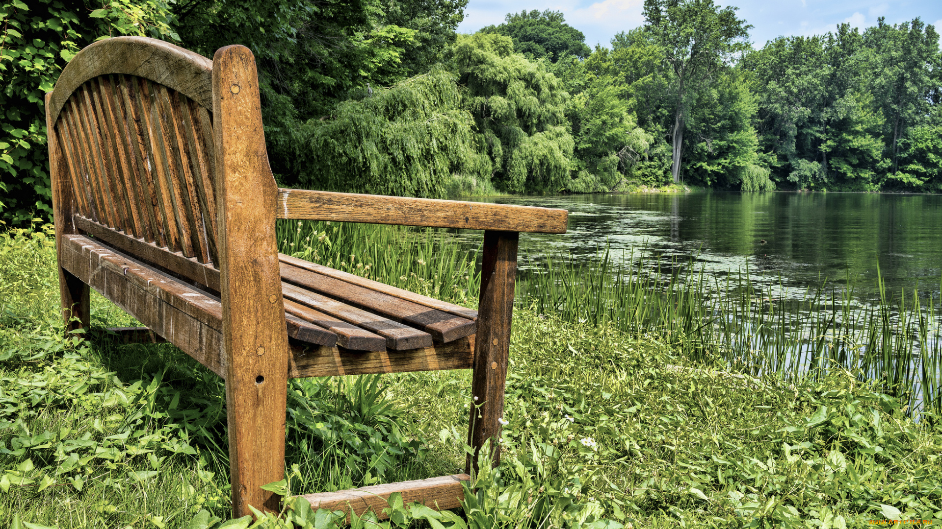 природа, реки, озера, лужайка, река, скамейка