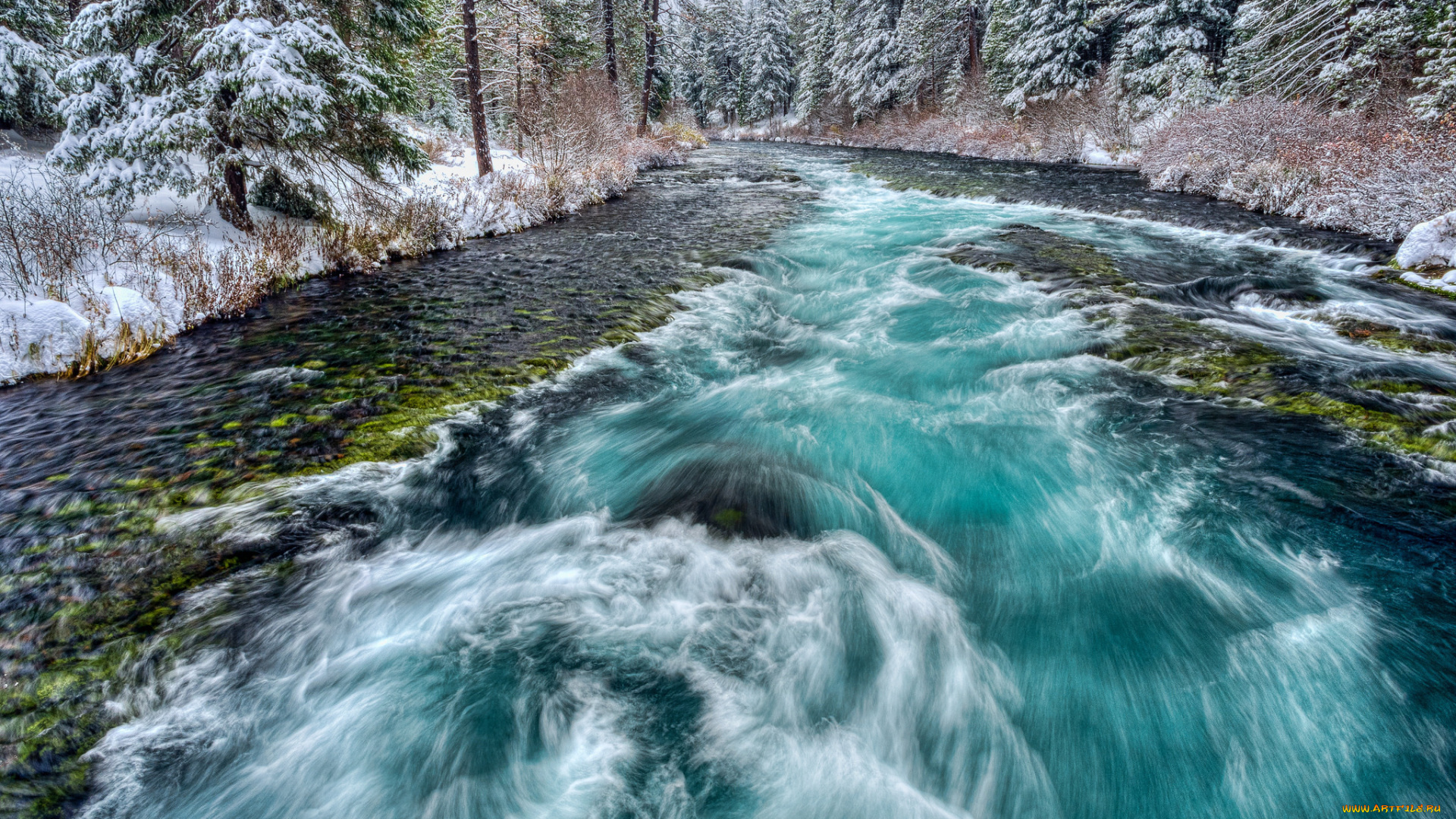 природа, реки, озера, пена, снег, поток, река, лес, деревья, вода
