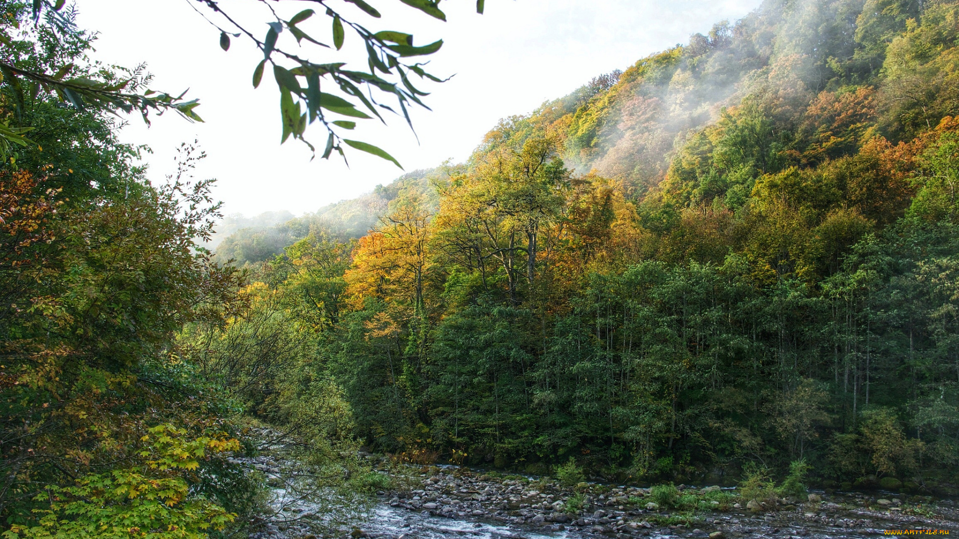 природа, реки, озера, река, лес, горы