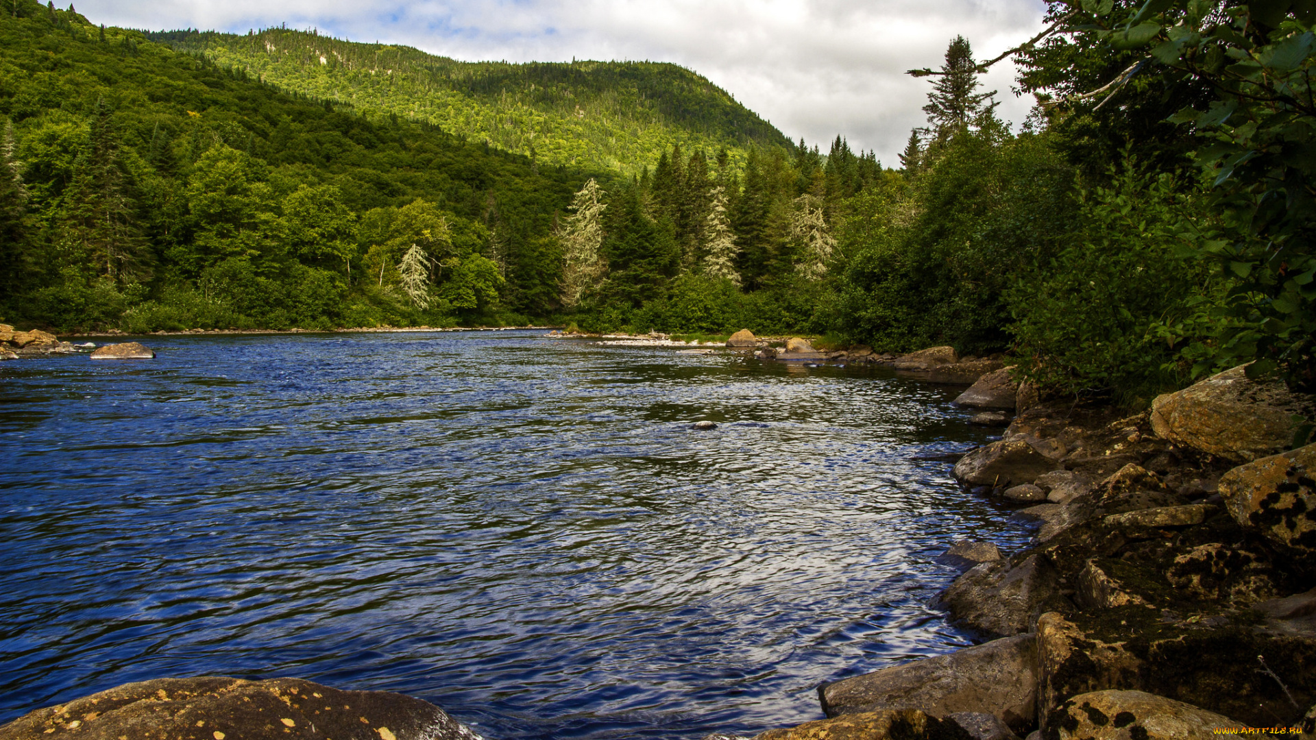 природа, реки, озера, река, лес, горы