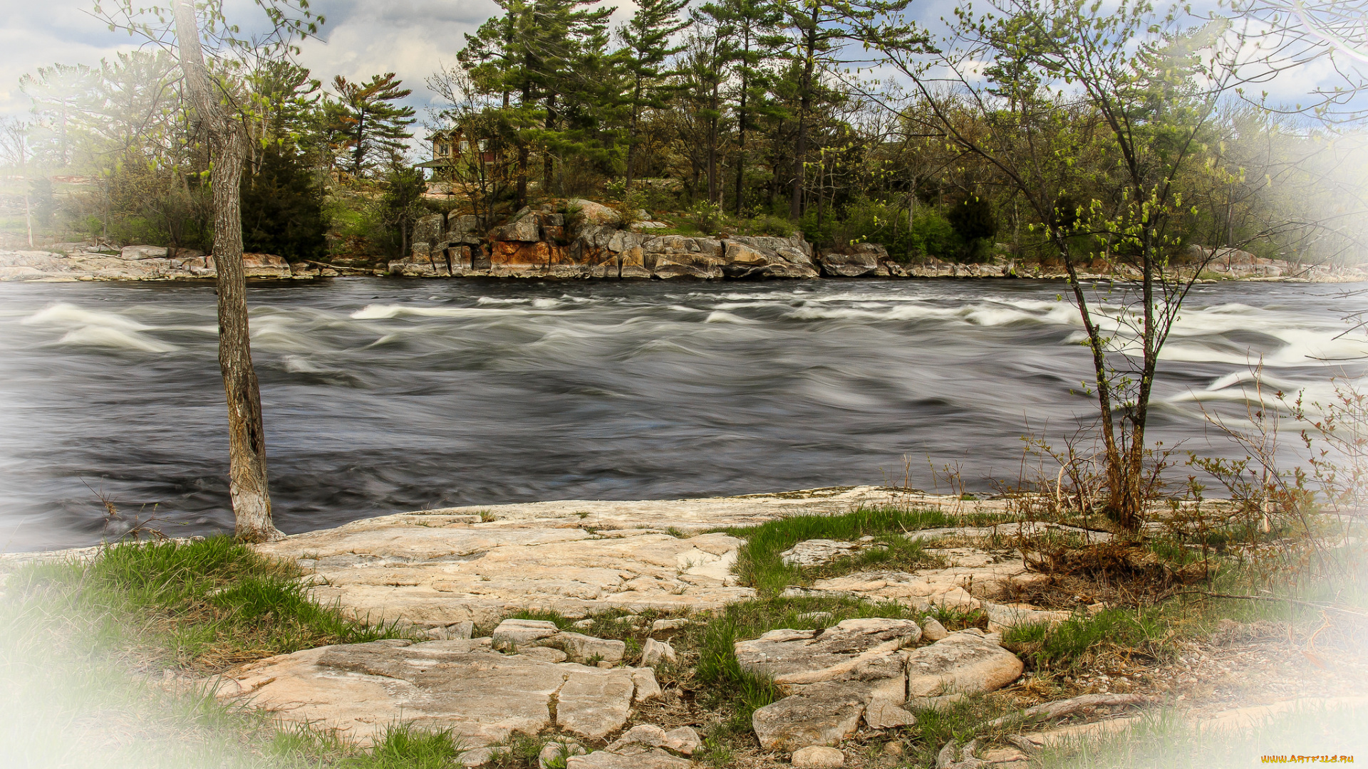природа, реки, озера, стремнина, река, лес