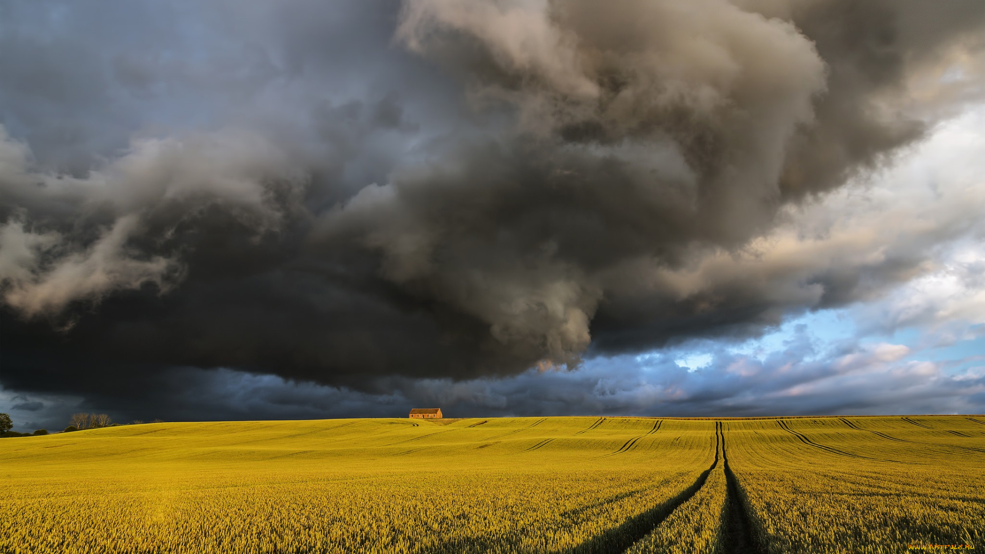природа, стихия, поле, посевы, туча