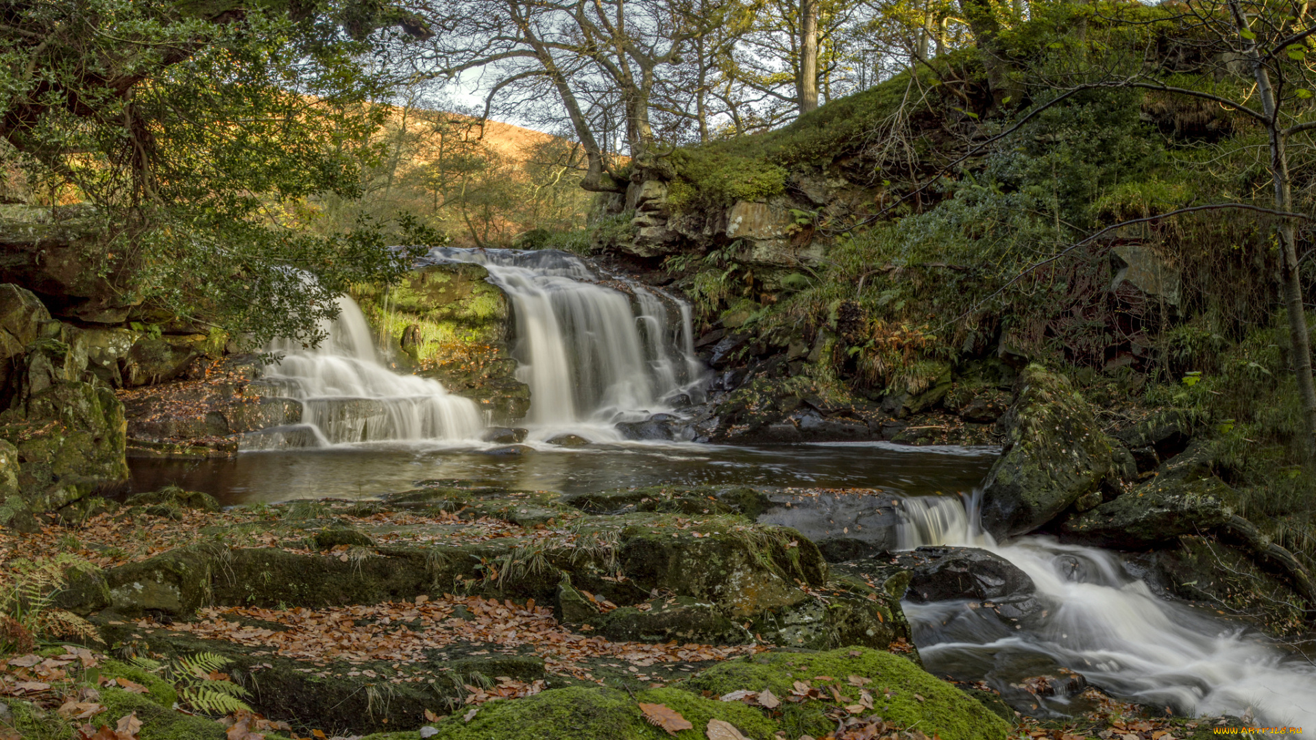 природа, водопады, лес, водопад, река