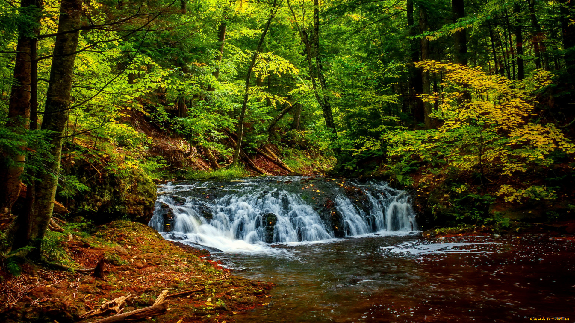 природа, водопады, водопад, деревья, лес